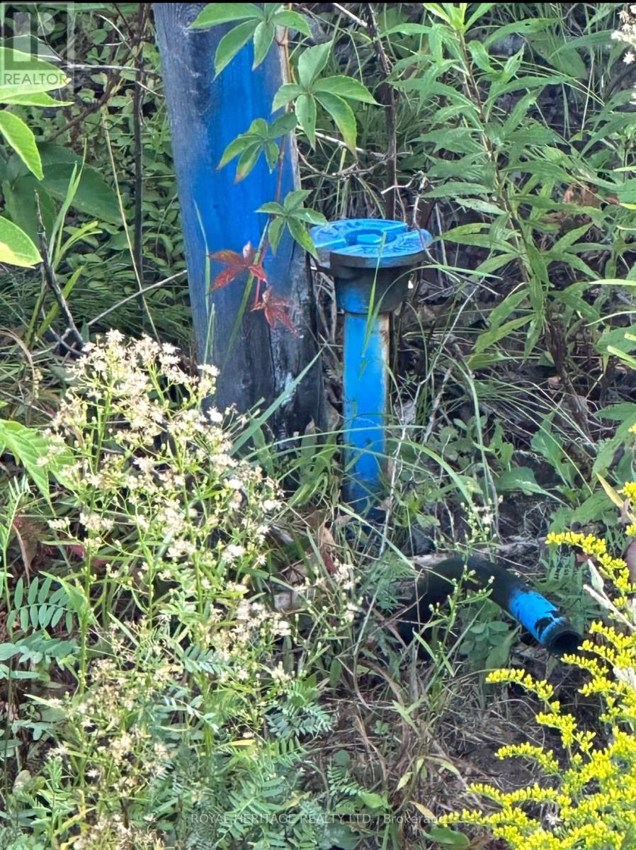 61 Marluc Avenue, Minden Hills, Ontario  K0M 2K0 - Photo 10 - X12484705