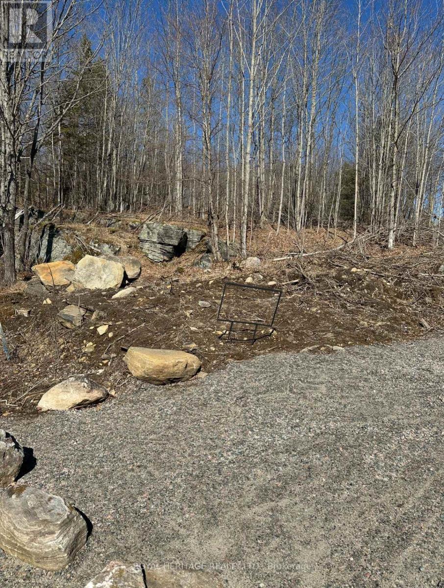 61 Marluc Avenue, Minden Hills, Ontario  K0M 2K0 - Photo 2 - X12484705