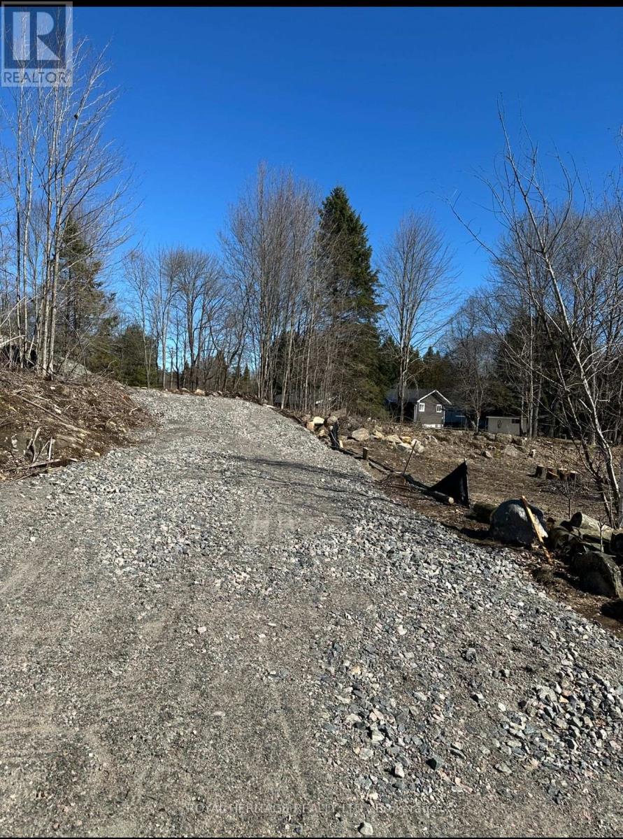 61 Marluc Avenue, Minden Hills, Ontario  K0M 2K0 - Photo 5 - X12484705