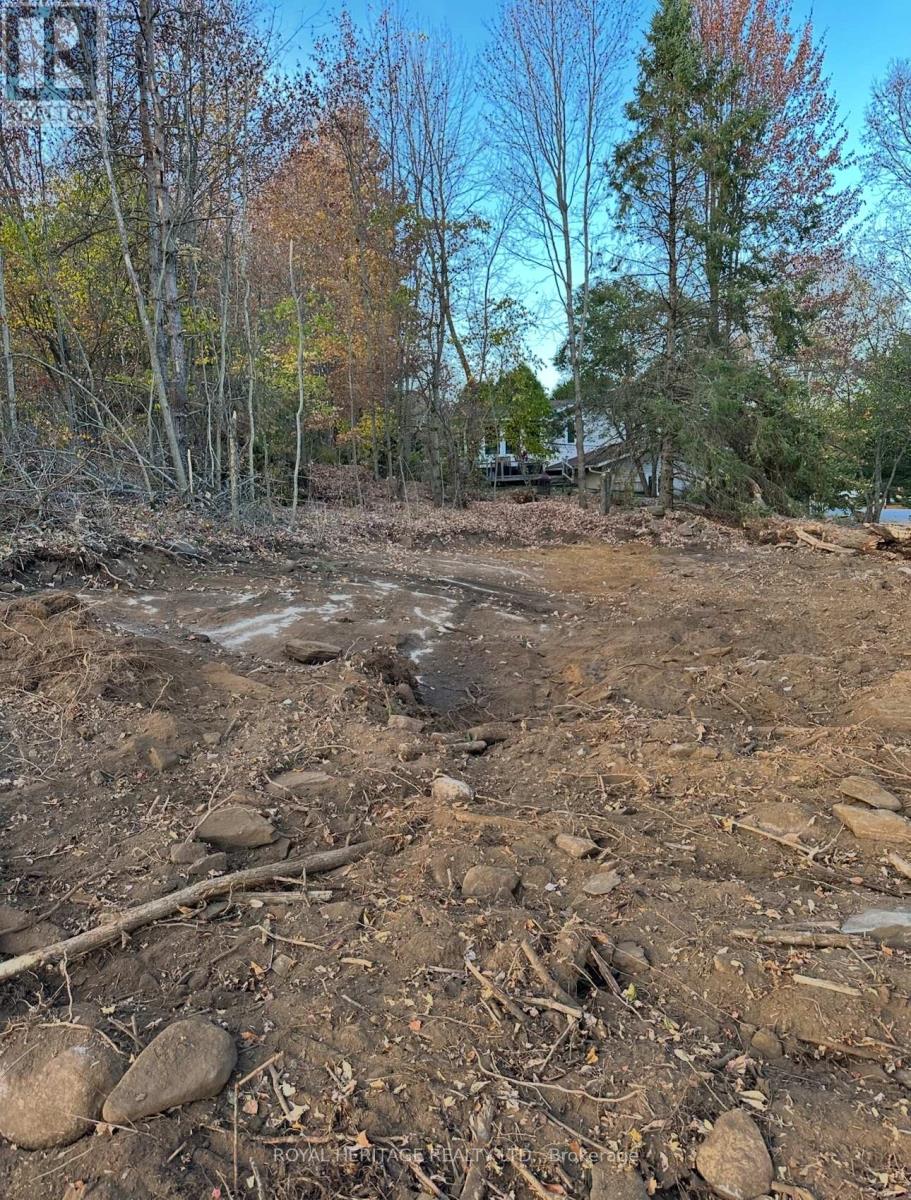 61 Marluc Avenue, Minden Hills, Ontario  K0M 2K0 - Photo 6 - X12484705