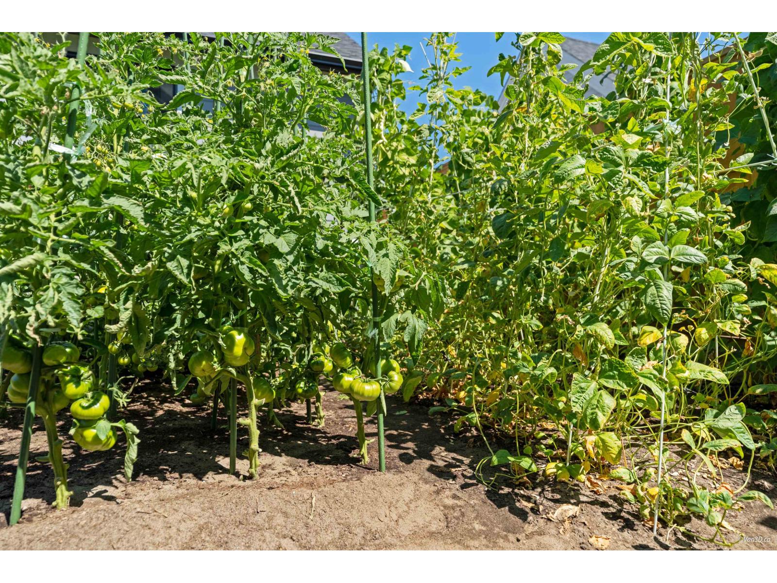 16623 21a Avenue, Surrey, British Columbia  V3Z 9X9 - Photo 34 - R3062343