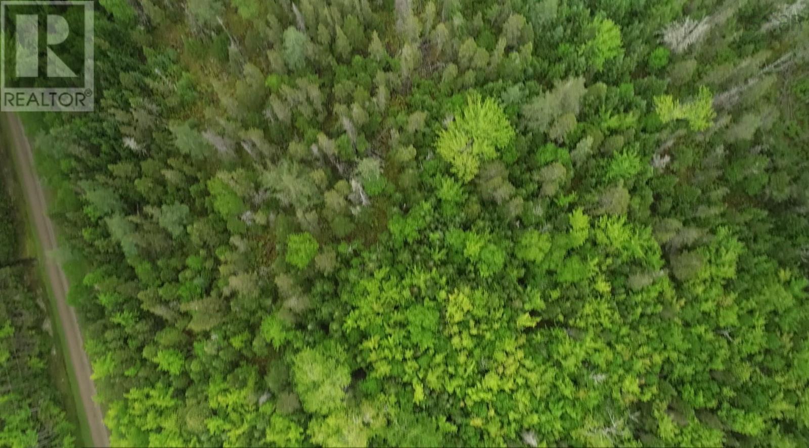 41A Widow Point Loop, Inverness, Nova Scotia