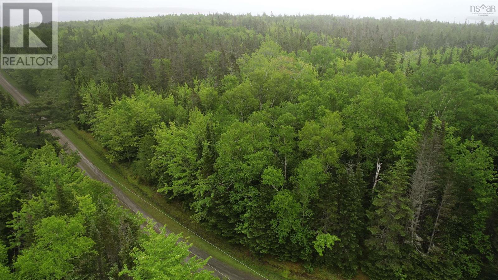 41a Widow Point Loop, Inverness, Nova Scotia  B0E 1N0 - Photo 5 - 202526706