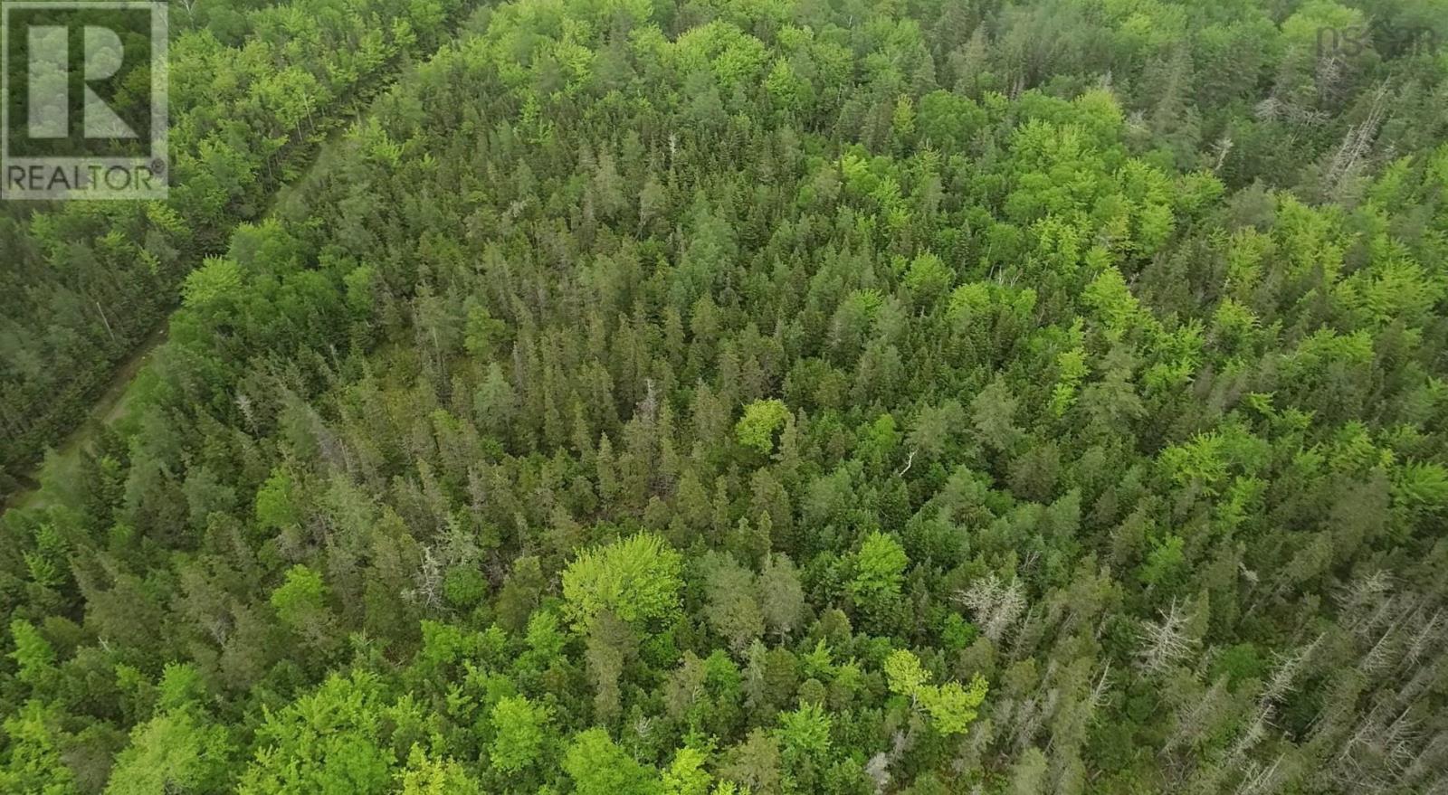 41a Widow Point Loop, Inverness, Nova Scotia  B0E 1N0 - Photo 9 - 202526706