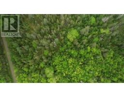 41A Widow Point Loop