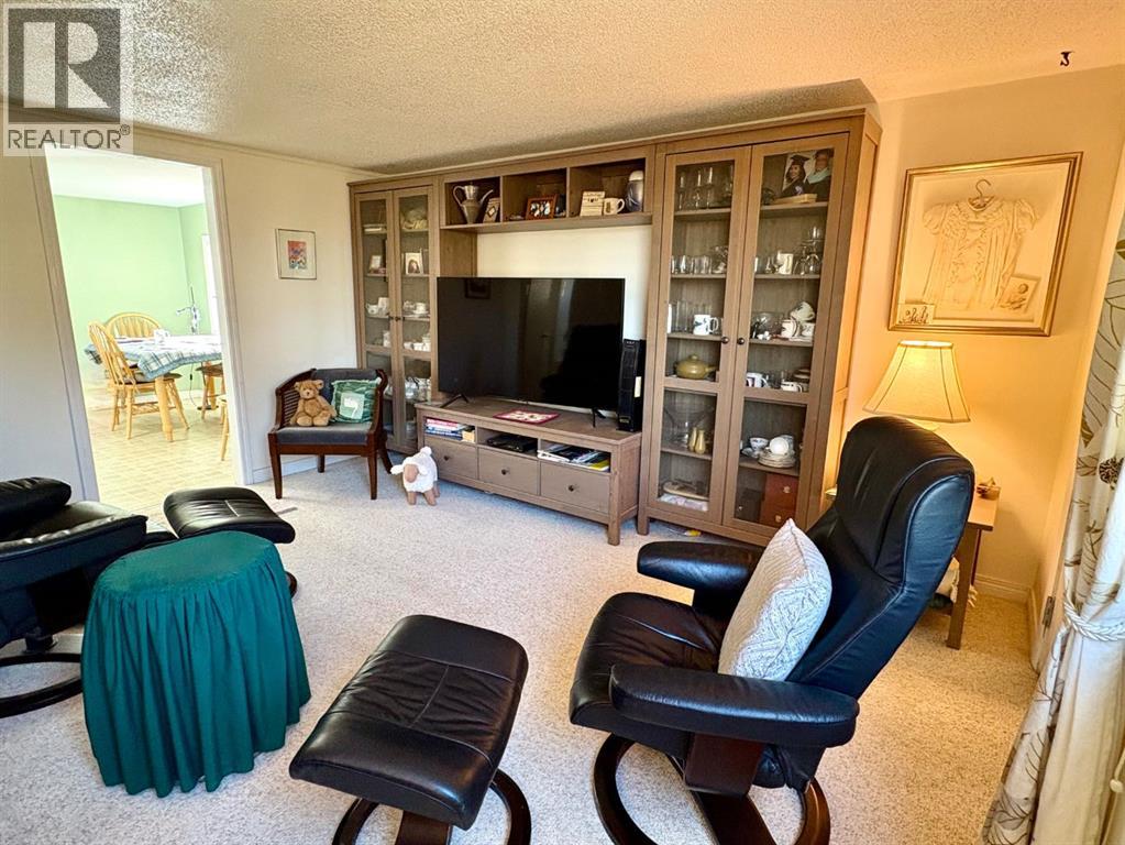 216 Sanden Street, Bawlf, Alberta  T0B 0J0 - Photo 6 - A2267093