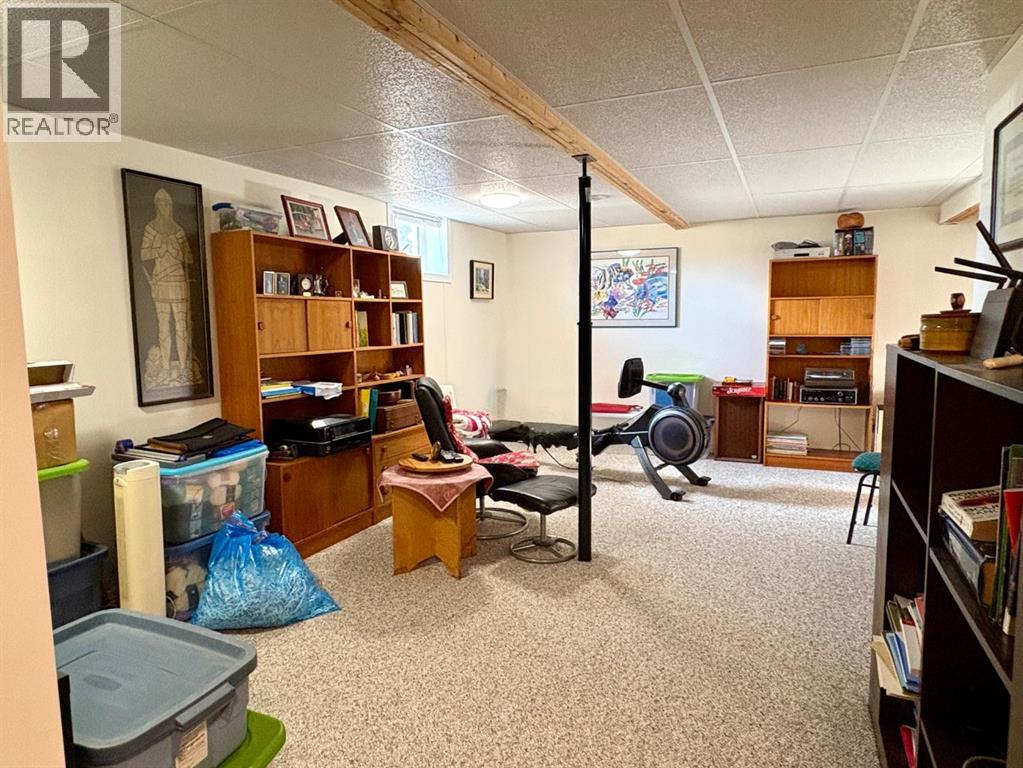 216 Sanden Street, Bawlf, Alberta  T0B 0J0 - Photo 19 - A2267093