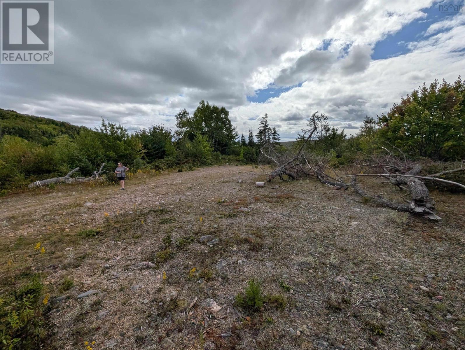 Lot 1 Highway 316, Country Harbour Mines, Nova Scotia  B0H 1J0 - Photo 17 - 202526021