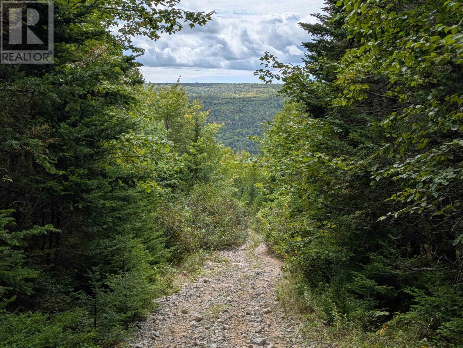 Lot 1 Highway 316, Country Harbour Mines, Nova Scotia  B0H 1J0 - Photo 11 - 202526021