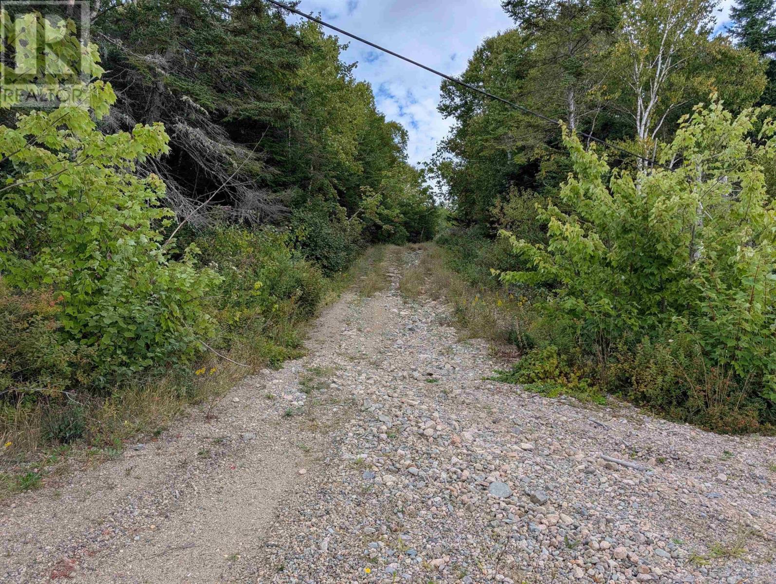 Lot 1 Highway 316, Country Harbour Mines, Nova Scotia  B0H 1J0 - Photo 16 - 202526021