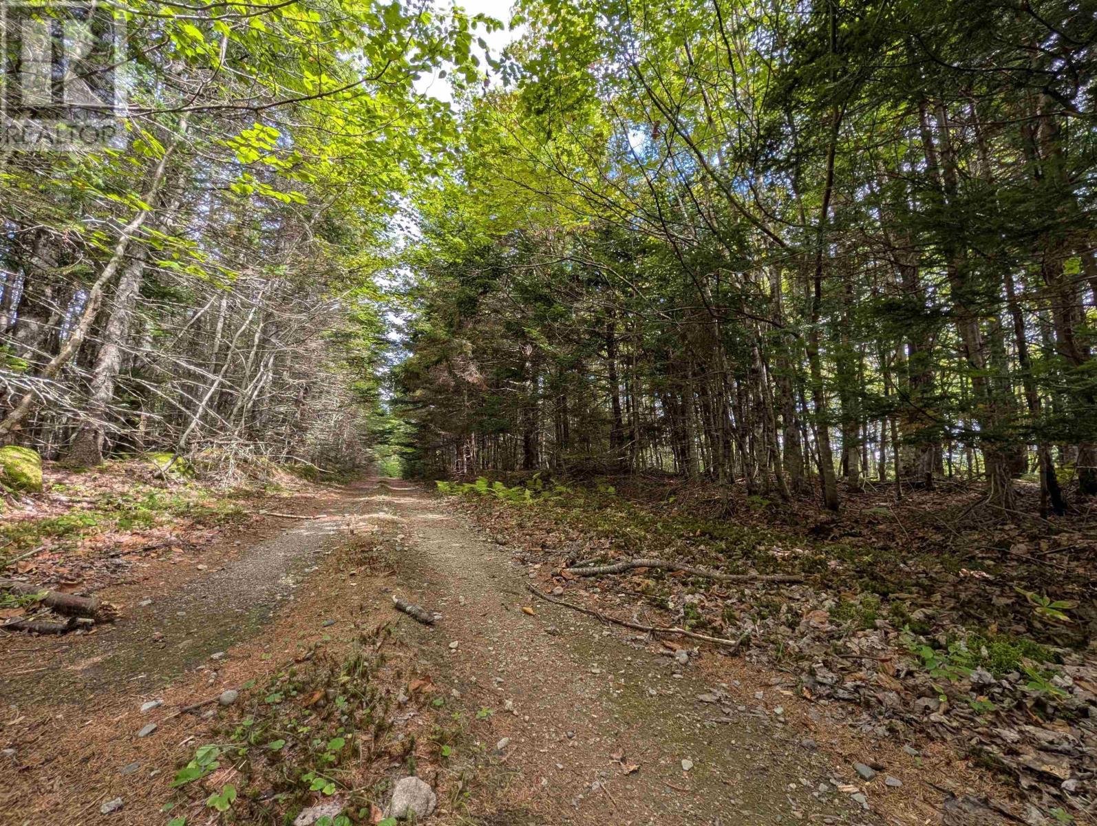 Lot 1 Highway 316, Country Harbour Mines, Nova Scotia  B0H 1J0 - Photo 19 - 202526021