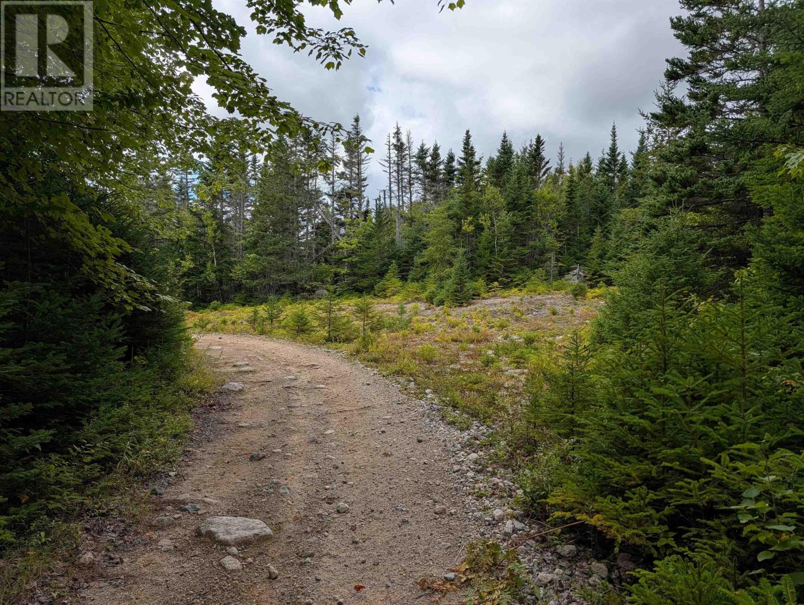 Lot 1 Highway 316, Country Harbour Mines, Nova Scotia  B0H 1J0 - Photo 20 - 202526021