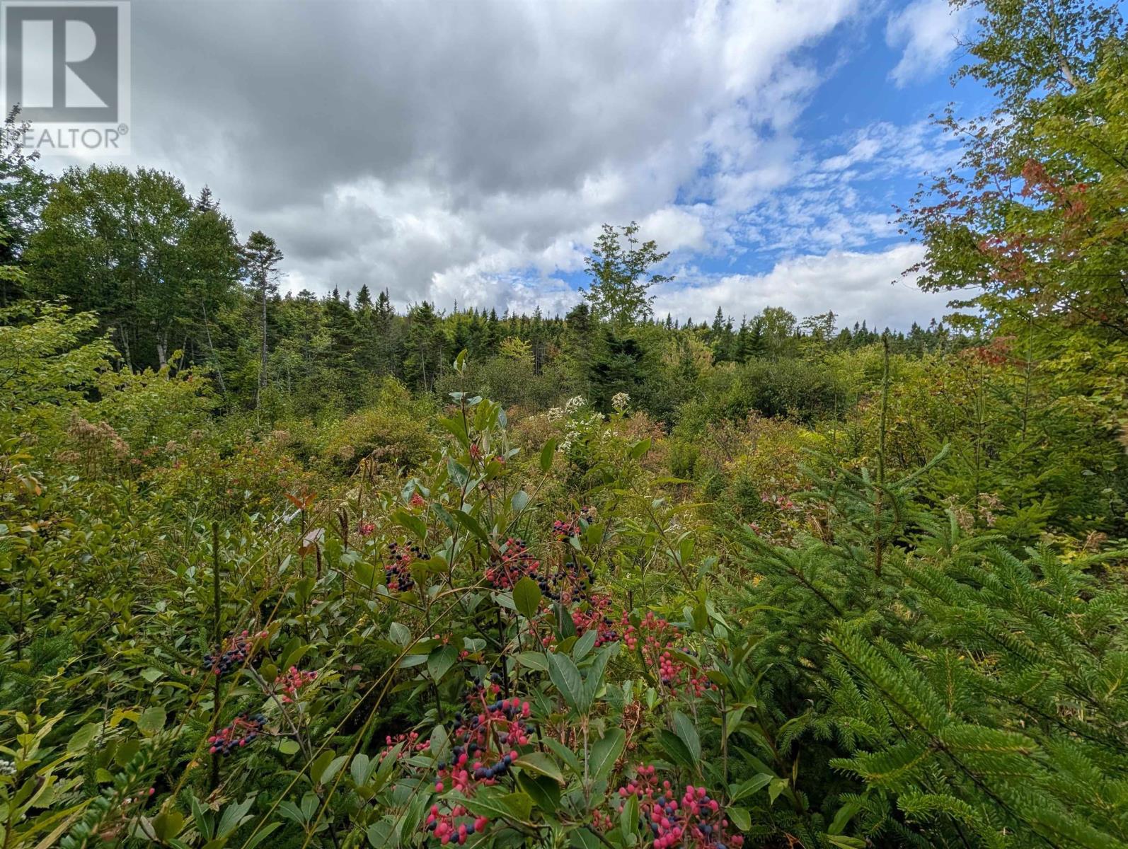 Lot 1 Highway 316, Country Harbour Mines, Nova Scotia  B0H 1J0 - Photo 25 - 202526021