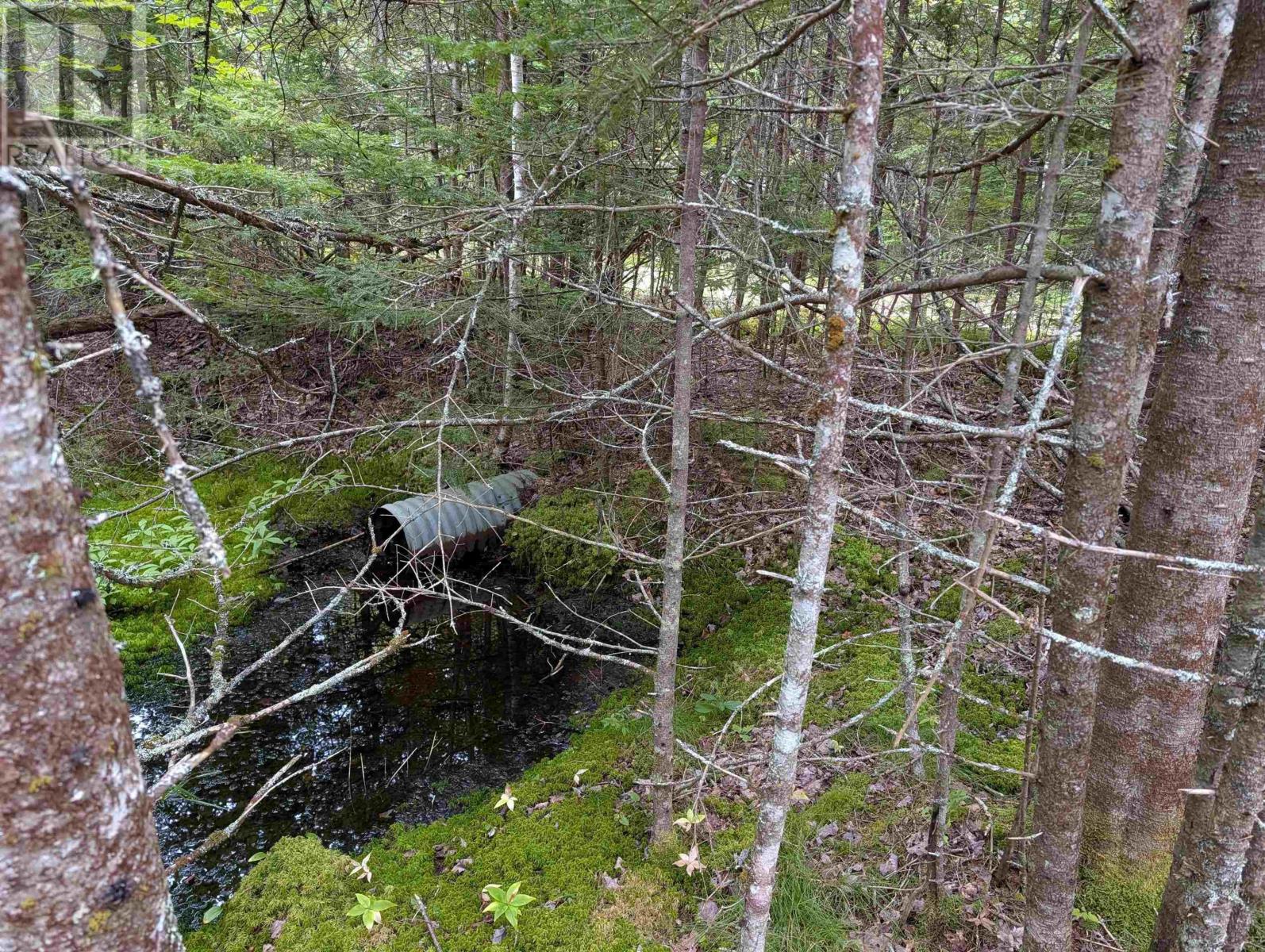 Lot 1 Highway 316, Country Harbour Mines, Nova Scotia  B0H 1J0 - Photo 18 - 202526021