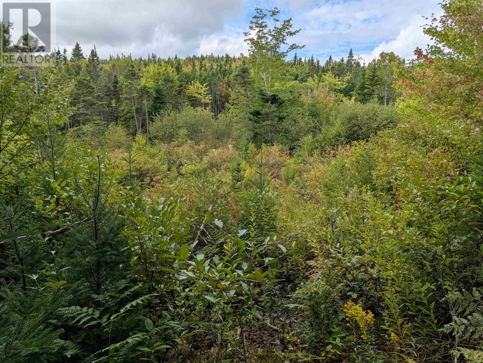 Lot 1 Highway 316, Country Harbour Mines, Nova Scotia  B0H 1J0 - Photo 27 - 202526021