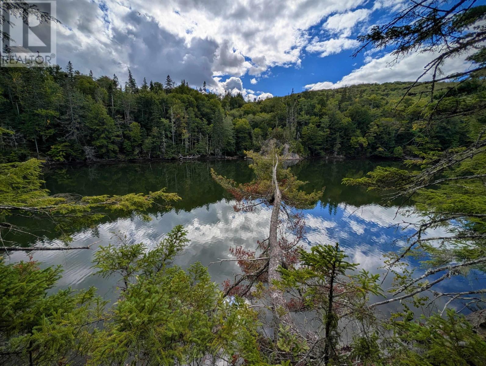 Lot 2 Highway 316, Country Harbour Mines, Nova Scotia  B0H 1J0 - Photo 9 - 202526020