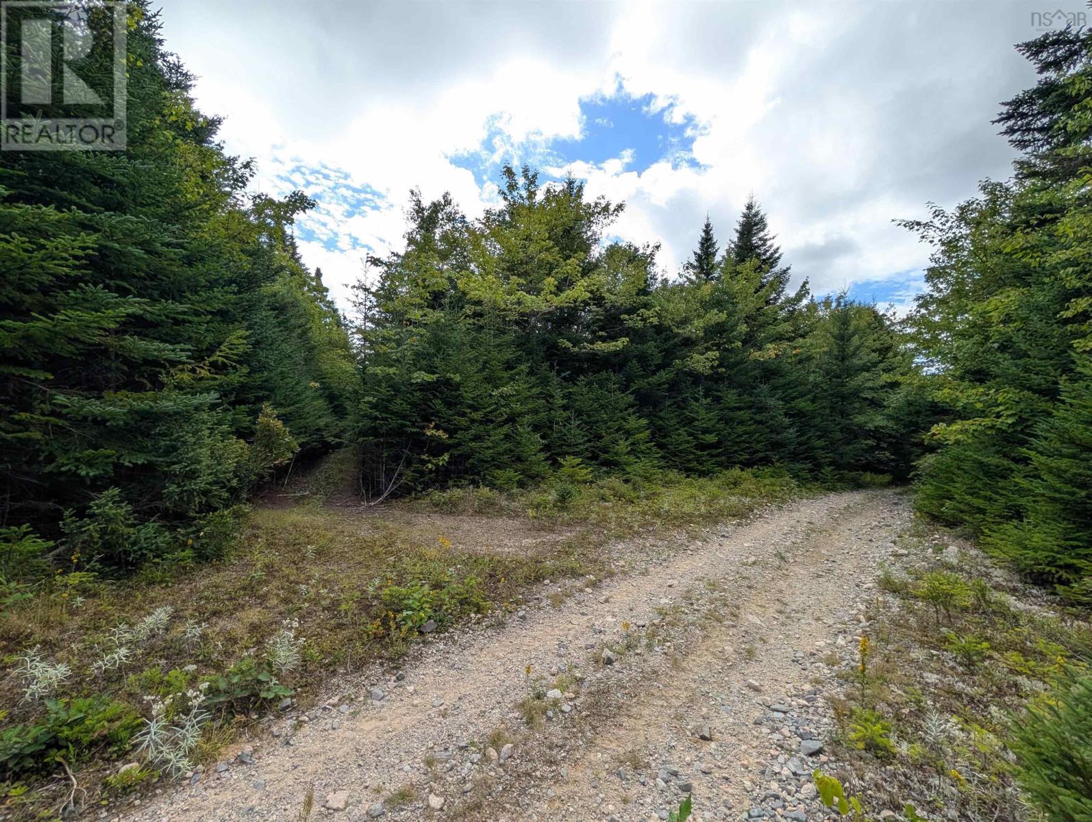 Lot 1 Highway 316, Country Harbour Mines, Nova Scotia  B0H 1J0 - Photo 6 - 202526021