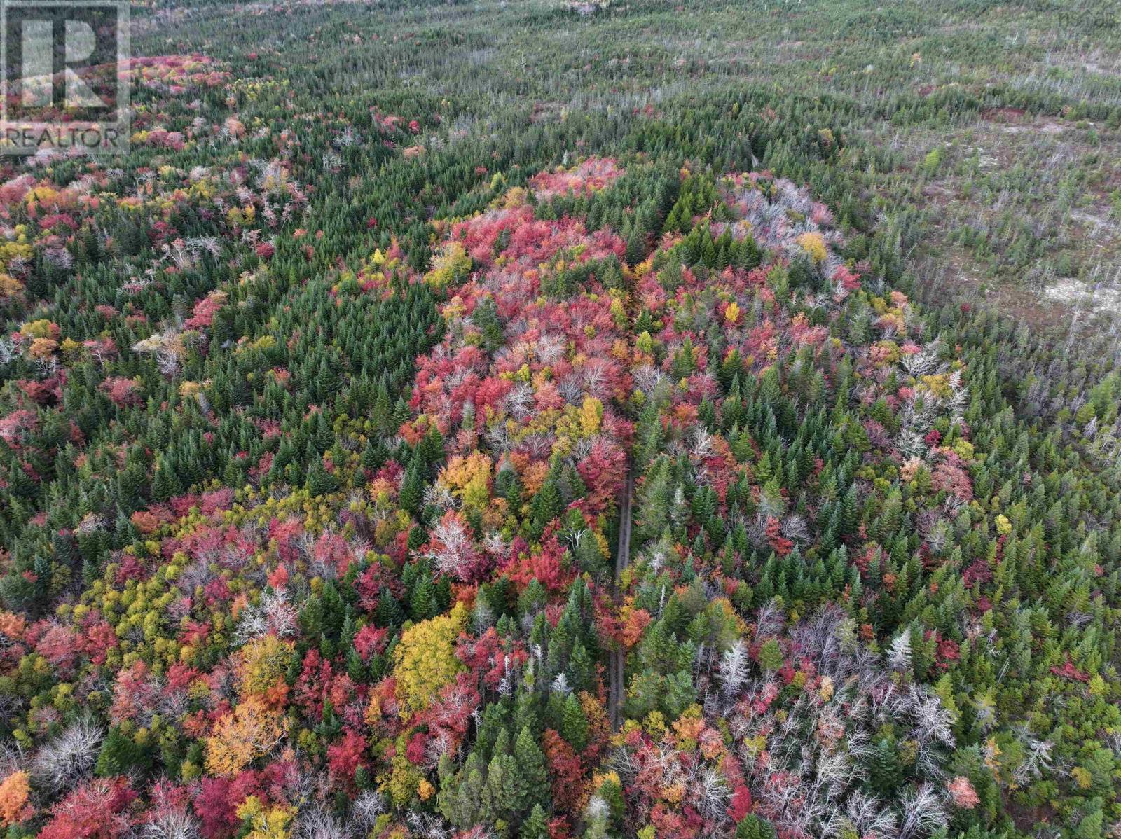 Lot 1 Highway 316, Country Harbour Mines, Nova Scotia  B0H 1J0 - Photo 31 - 202526021