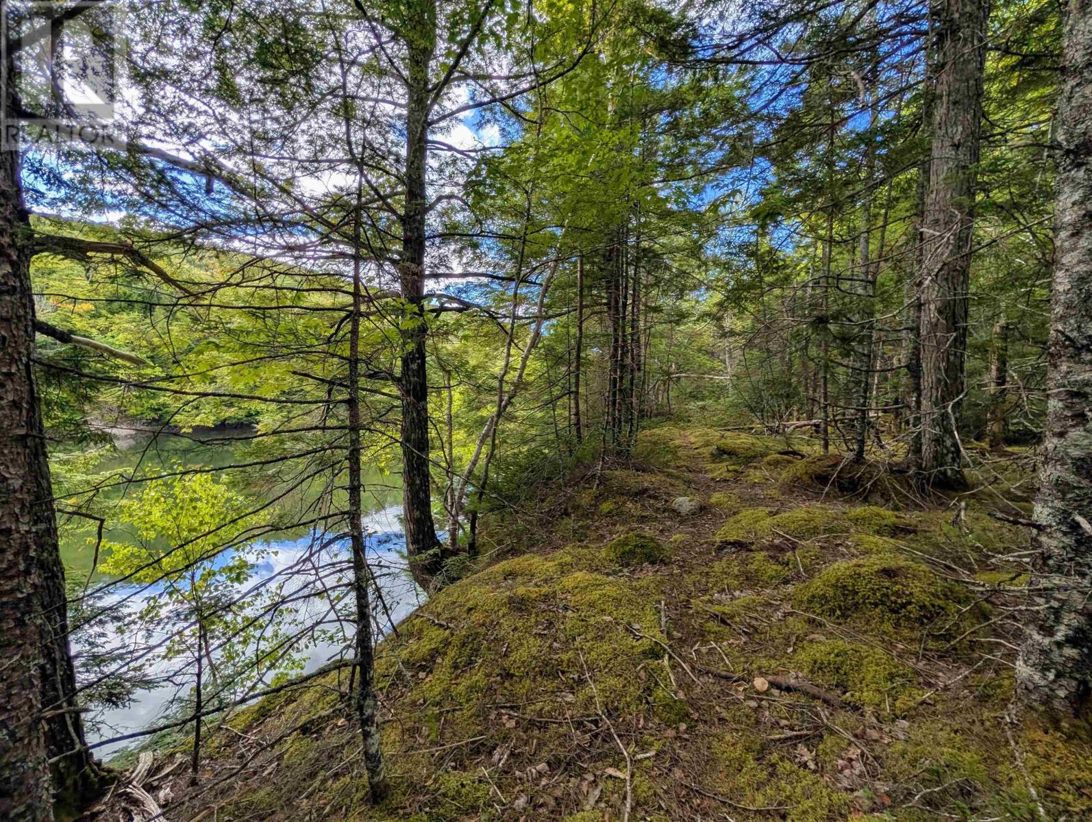 Lot 2 Highway 316, Country Harbour Mines, Nova Scotia  B0H 1J0 - Photo 4 - 202526020