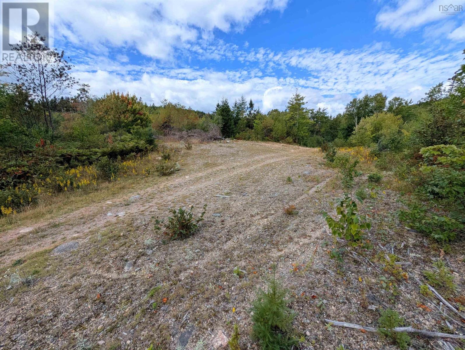 Lot 1 Highway 316, Country Harbour Mines, Nova Scotia  B0H 1J0 - Photo 14 - 202526021