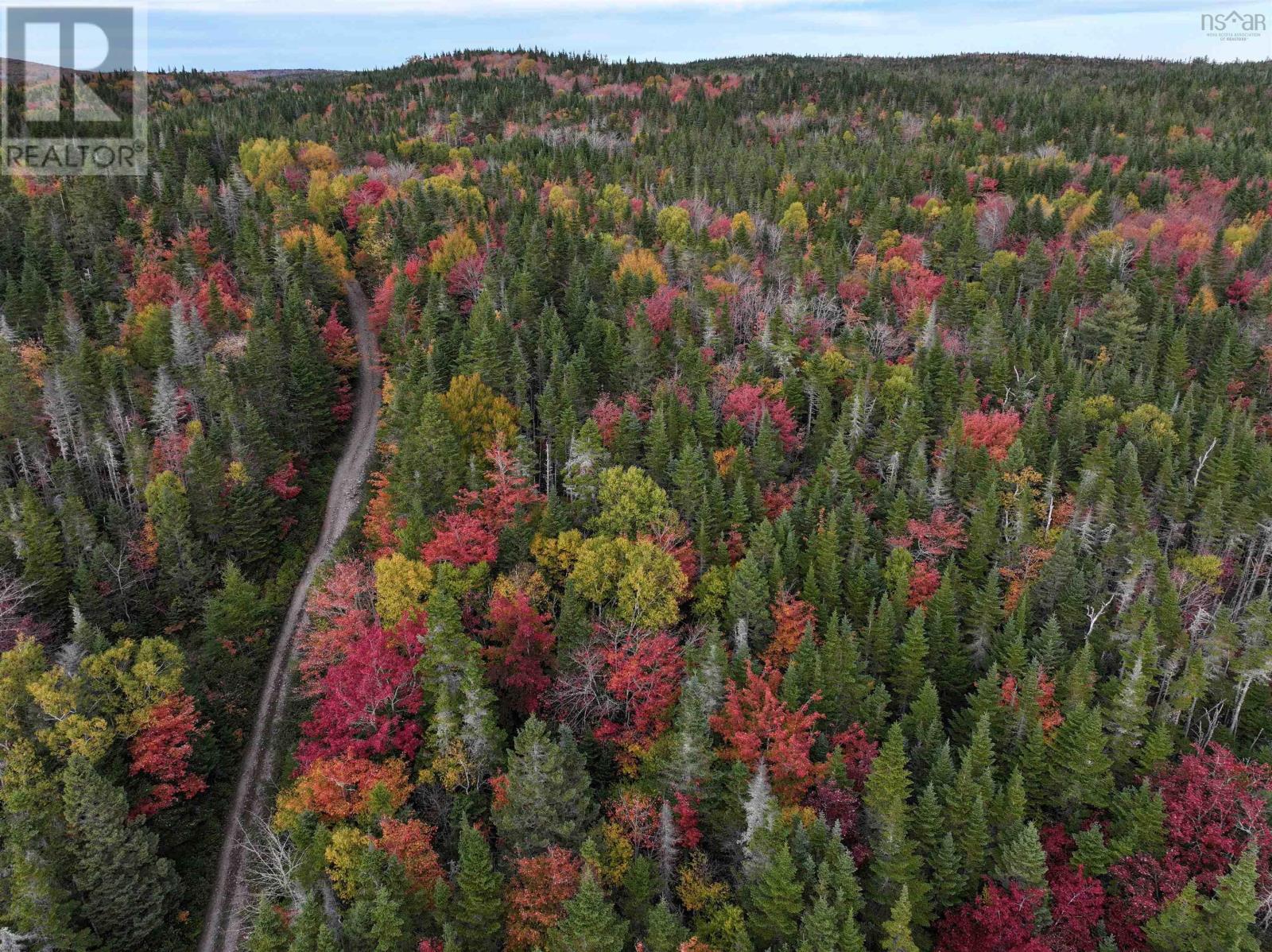Lot 1 Highway 316, Country Harbour Mines, Nova Scotia  B0H 1J0 - Photo 34 - 202526021