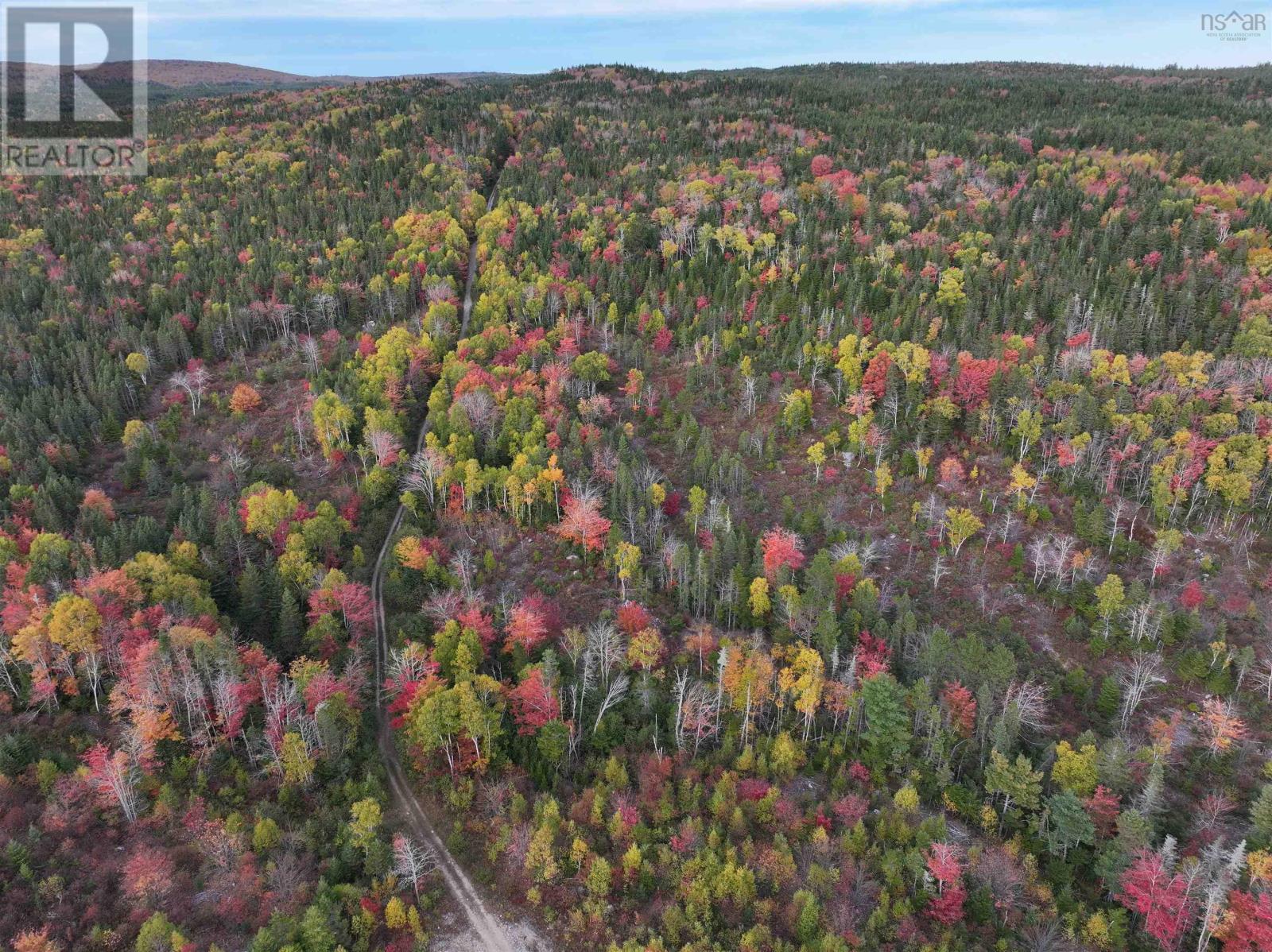 Lot 1 Highway 316, Country Harbour Mines, Nova Scotia  B0H 1J0 - Photo 36 - 202526021