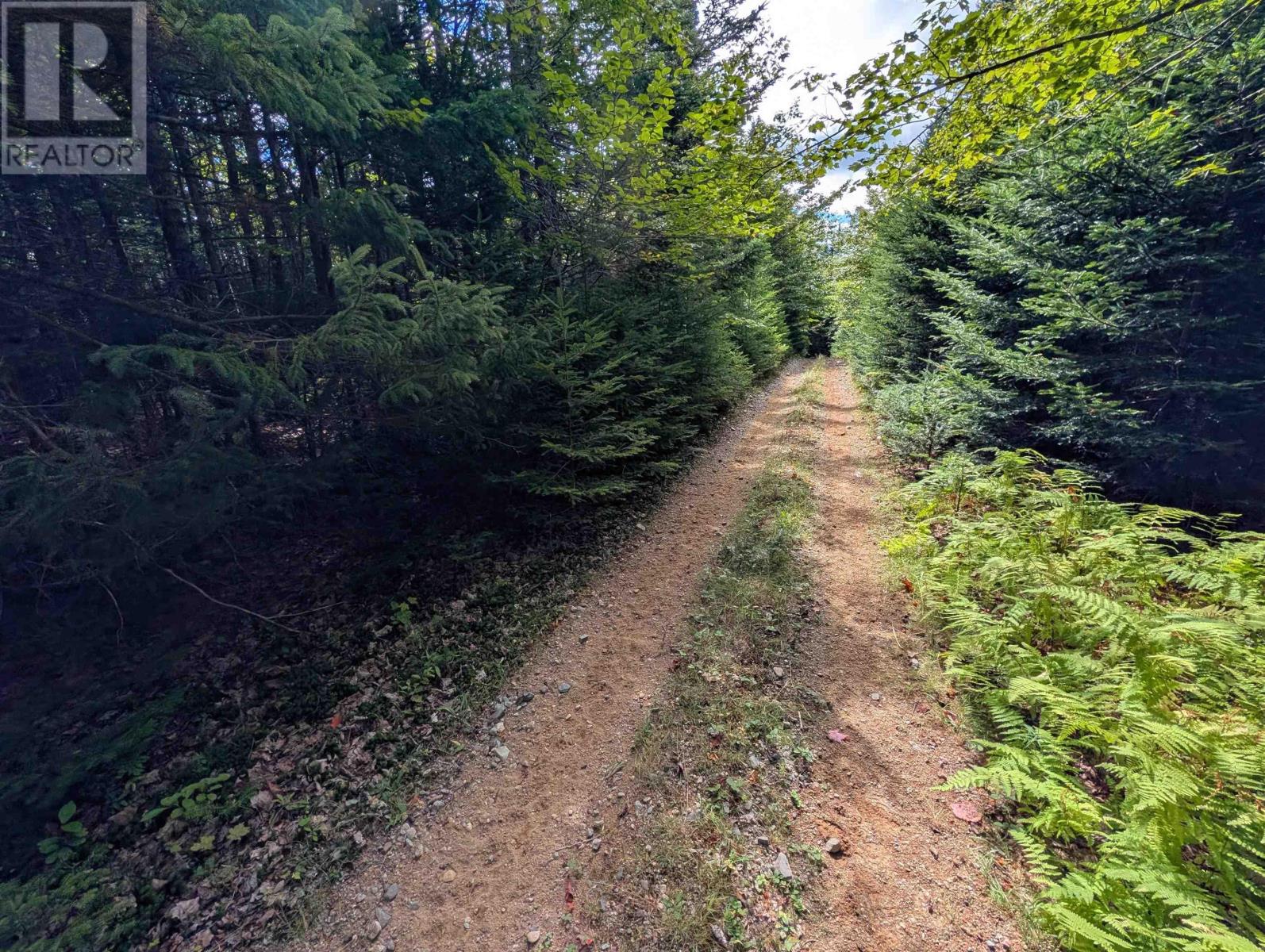 Lot 1 Highway 316, Country Harbour Mines, Nova Scotia  B0H 1J0 - Photo 7 - 202526021