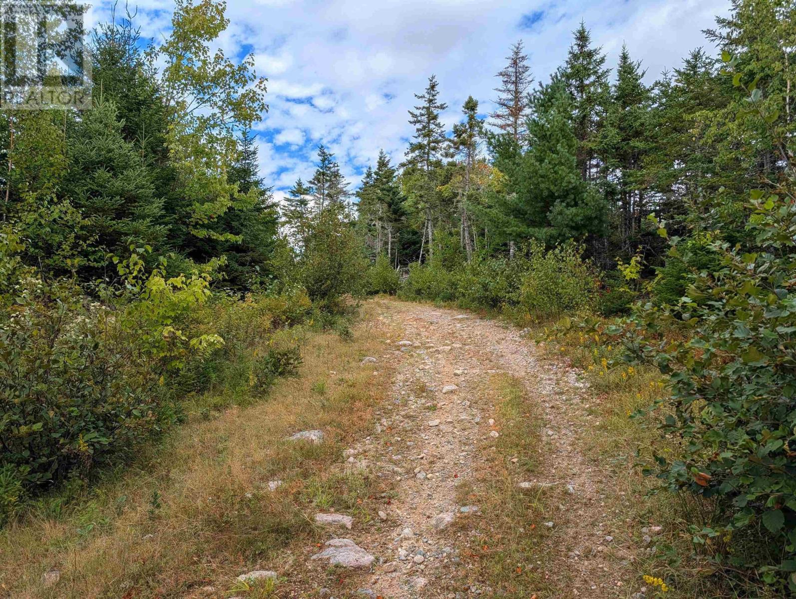 Lot 1 Highway 316, Country Harbour Mines, Nova Scotia  B0H 1J0 - Photo 22 - 202526021
