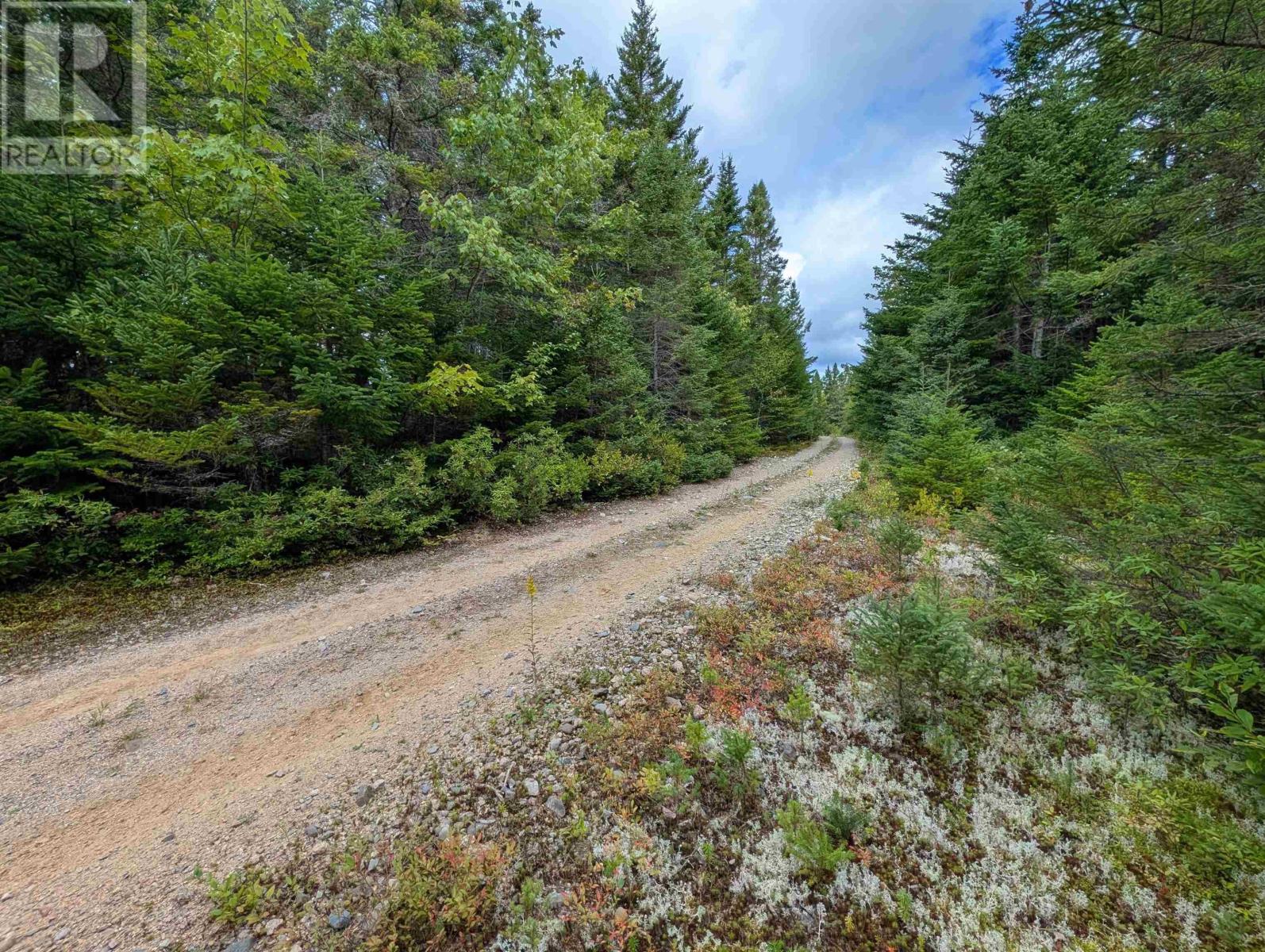 Lot 1 Highway 316, Country Harbour Mines, Nova Scotia  B0H 1J0 - Photo 9 - 202526021