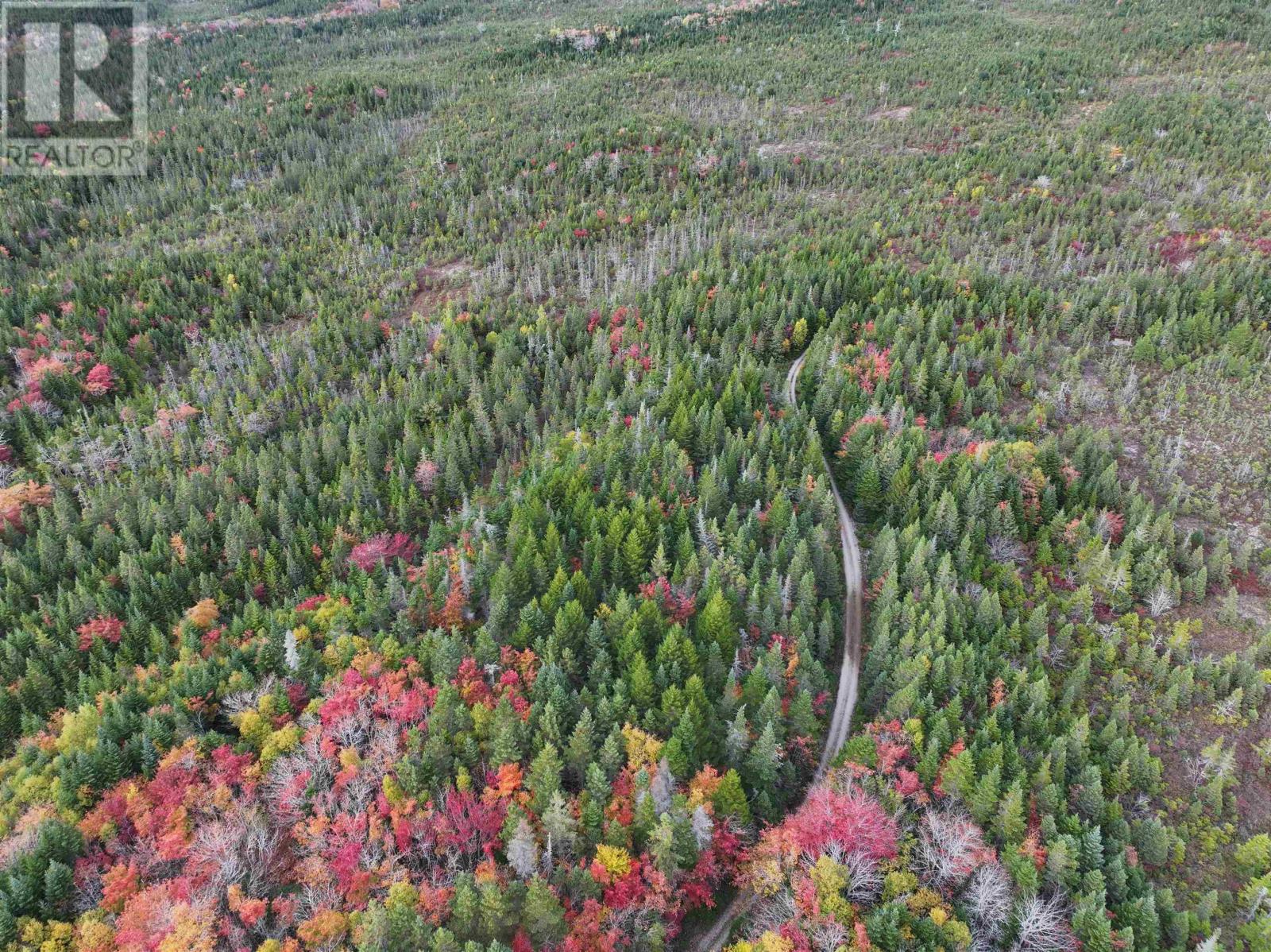 Lot 1 Highway 316, Country Harbour Mines, Nova Scotia  B0H 1J0 - Photo 30 - 202526021