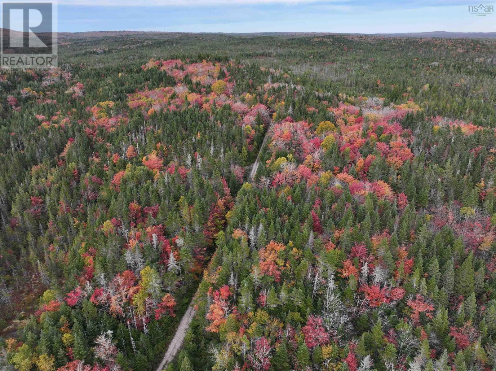 Lot 1 Highway 316, Country Harbour Mines, Nova Scotia  B0H 1J0 - Photo 33 - 202526021