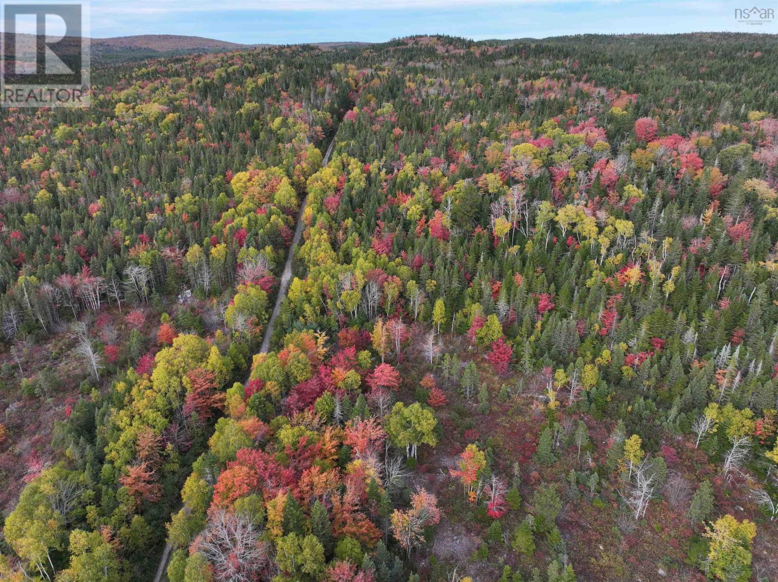 Lot 1 Highway 316, Country Harbour Mines, Nova Scotia  B0H 1J0 - Photo 35 - 202526021