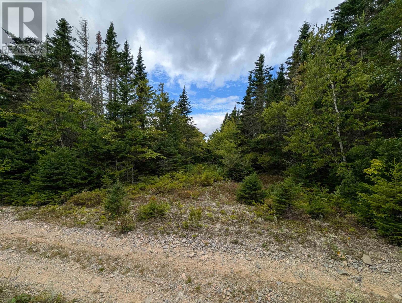 Lot 1 Highway 316, Country Harbour Mines, Nova Scotia  B0H 1J0 - Photo 4 - 202526021