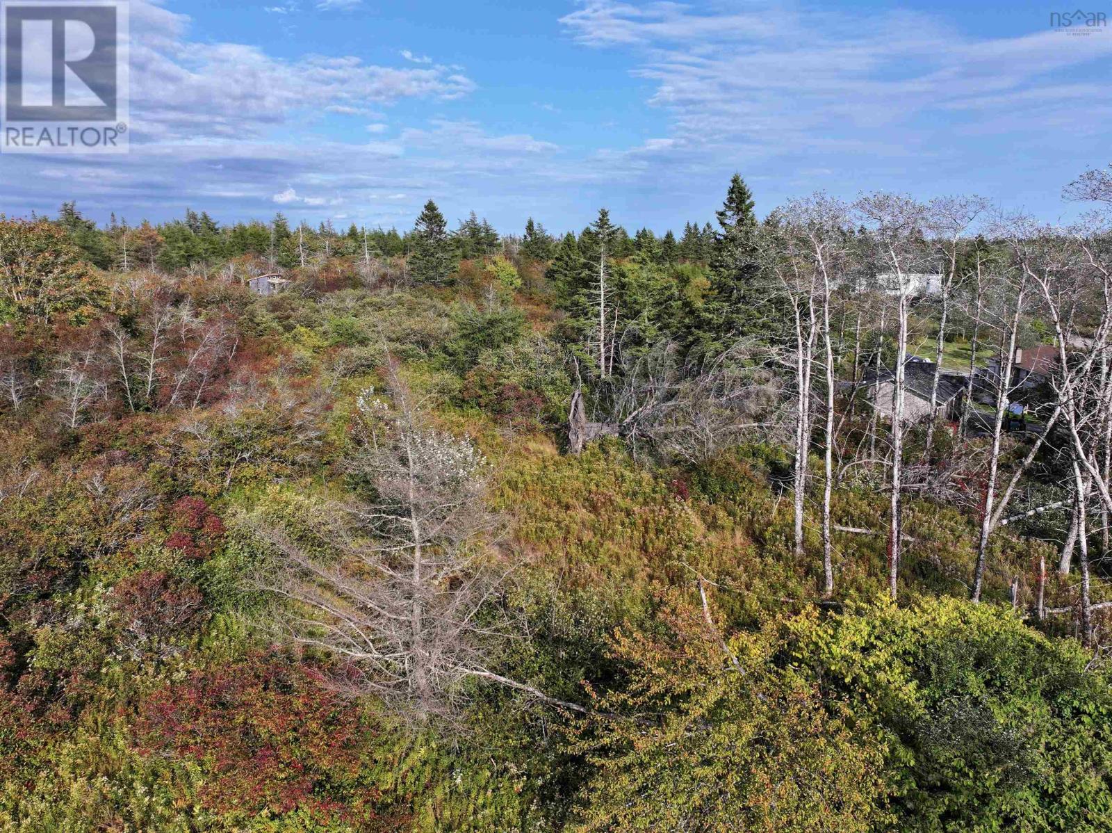 Lot 1 Goldenville Road, Goldenville, Nova Scotia  B0J 0B3 - Photo 8 - 202526705