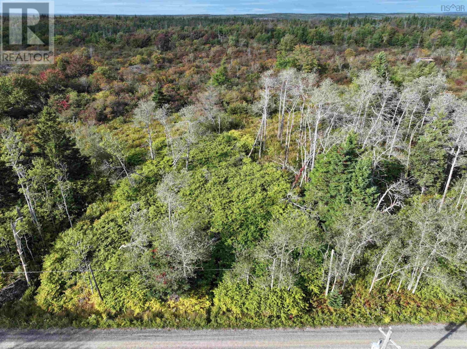 Lot 1 Goldenville Road, Goldenville, Nova Scotia  B0J 0B3 - Photo 13 - 202526705