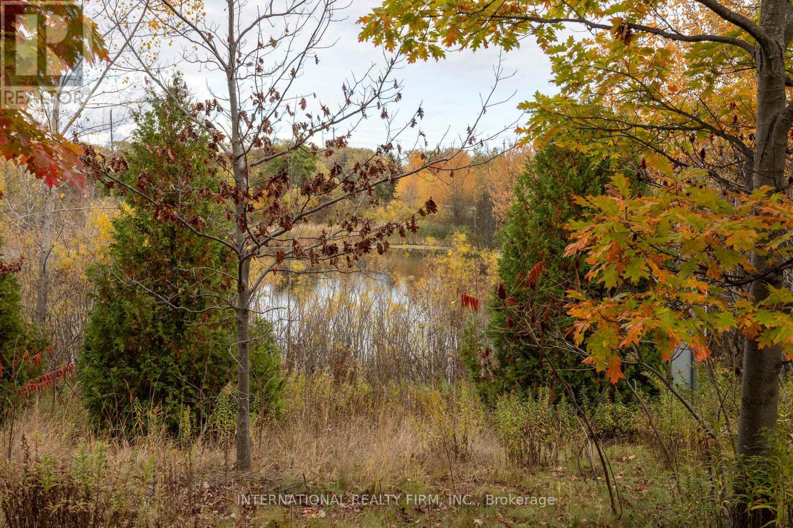 1616 Glenbourne Drive, Oshawa, Ontario  L1K 0G2 - Photo 6 - E12484808