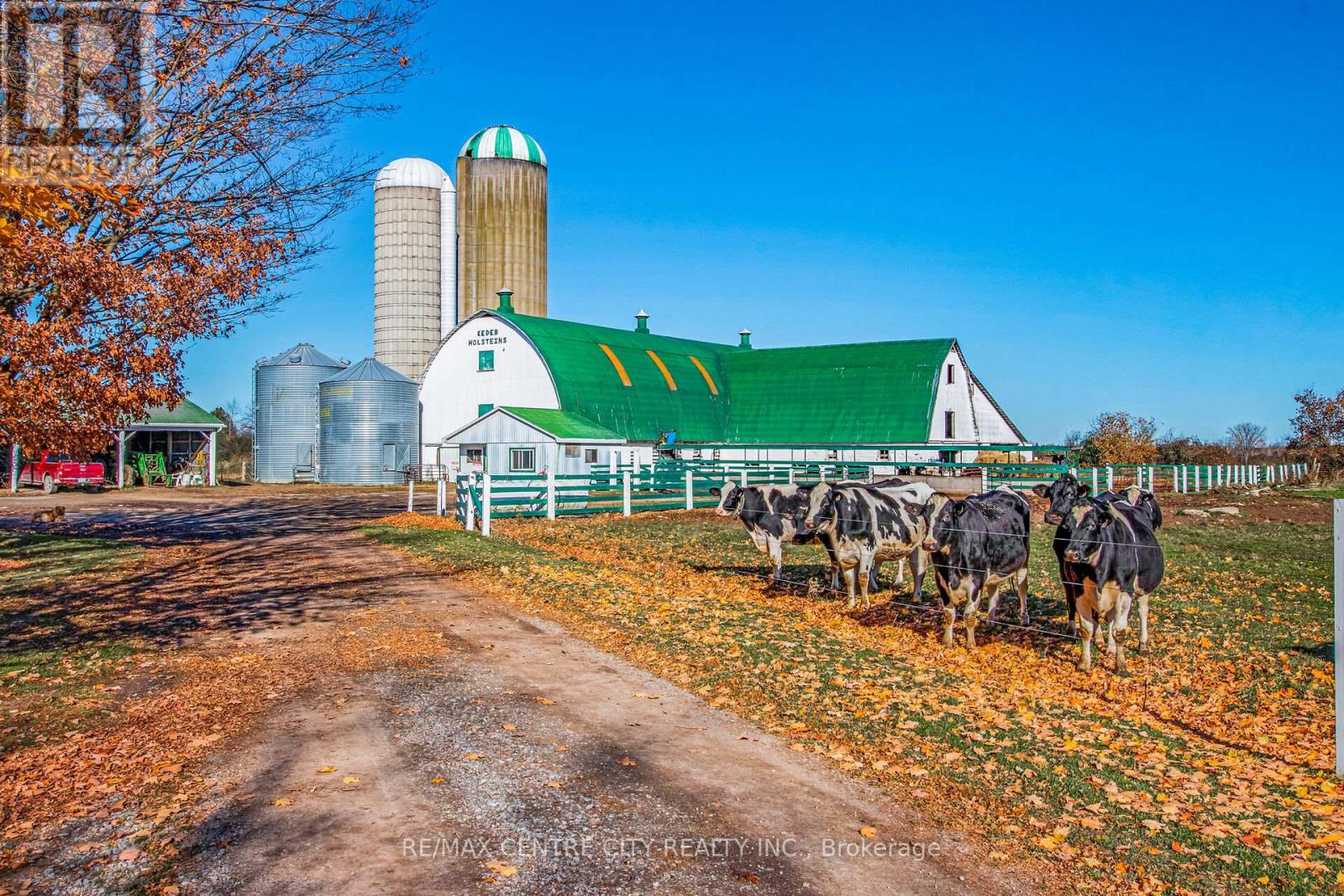 1048 Fifth Line, Selwyn, Ontario  K9J 6X2 - Photo 5 - X12484305