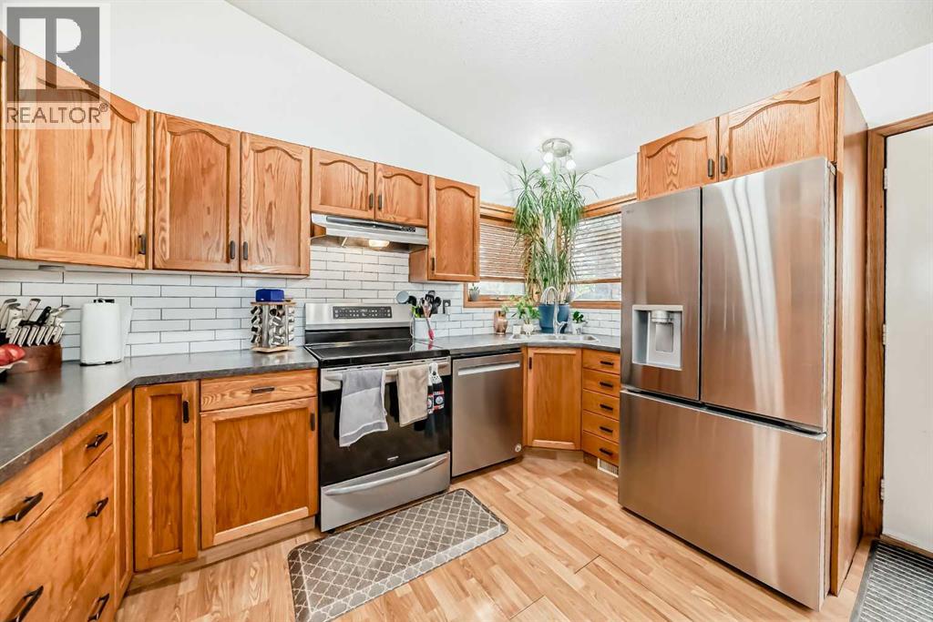 5223 56 Avenue, Eckville, Alberta  T0M 0X0 - Photo 6 - A2262608