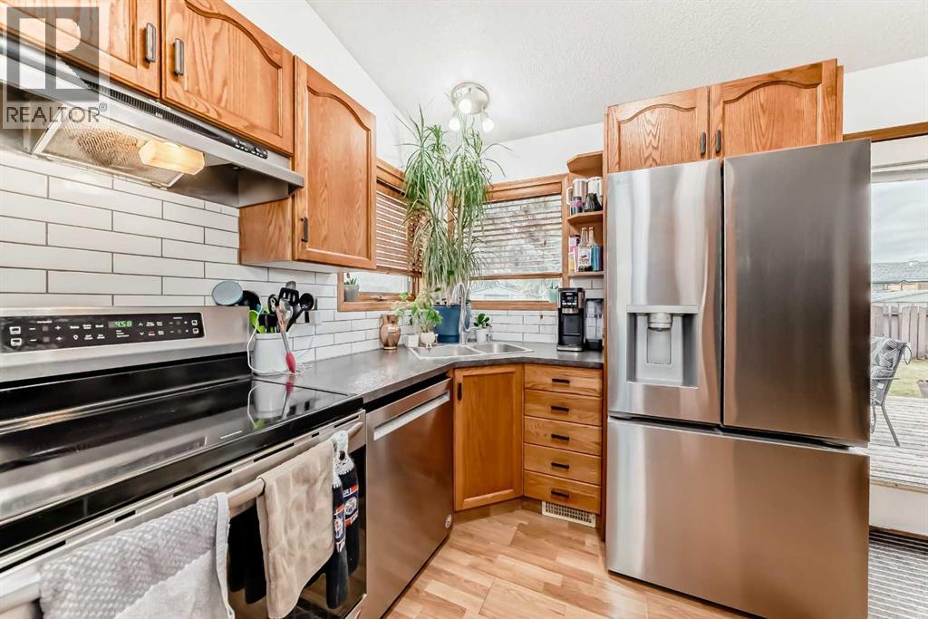 5223 56 Avenue, Eckville, Alberta  T0M 0X0 - Photo 7 - A2262608