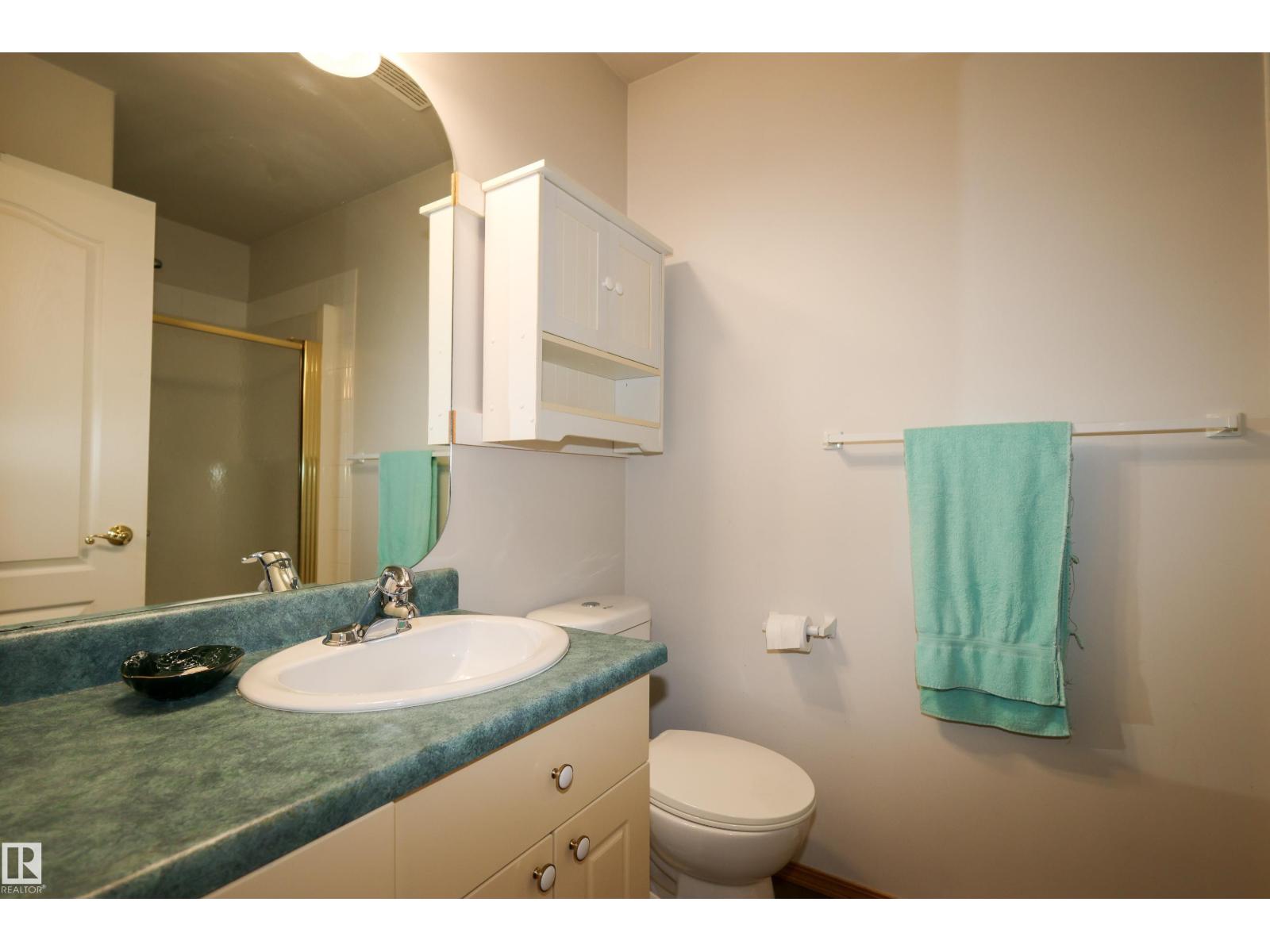 9511 95, Morinville, Alberta  T8R 1H9 - Photo 17 - E4463704