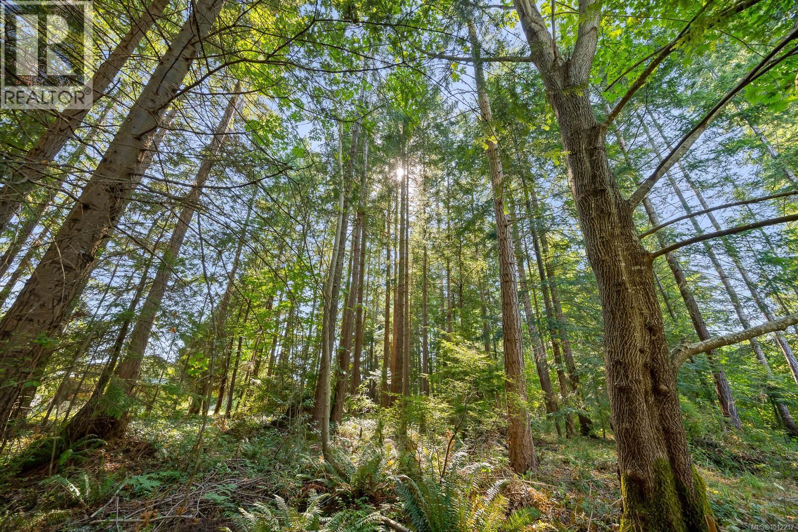 1927 Wilson Rd, Courtenay, British Columbia  V9J 1V6 - Photo 13 - 1012217