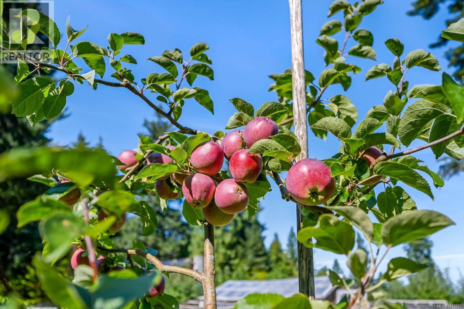 1927 Wilson Rd, Courtenay, British Columbia  V9J 1V6 - Photo 67 - 1012217