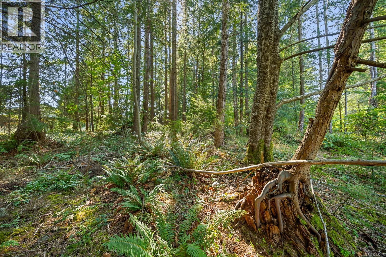 1927 Wilson Rd, Courtenay, British Columbia  V9J 1V6 - Photo 78 - 1012217