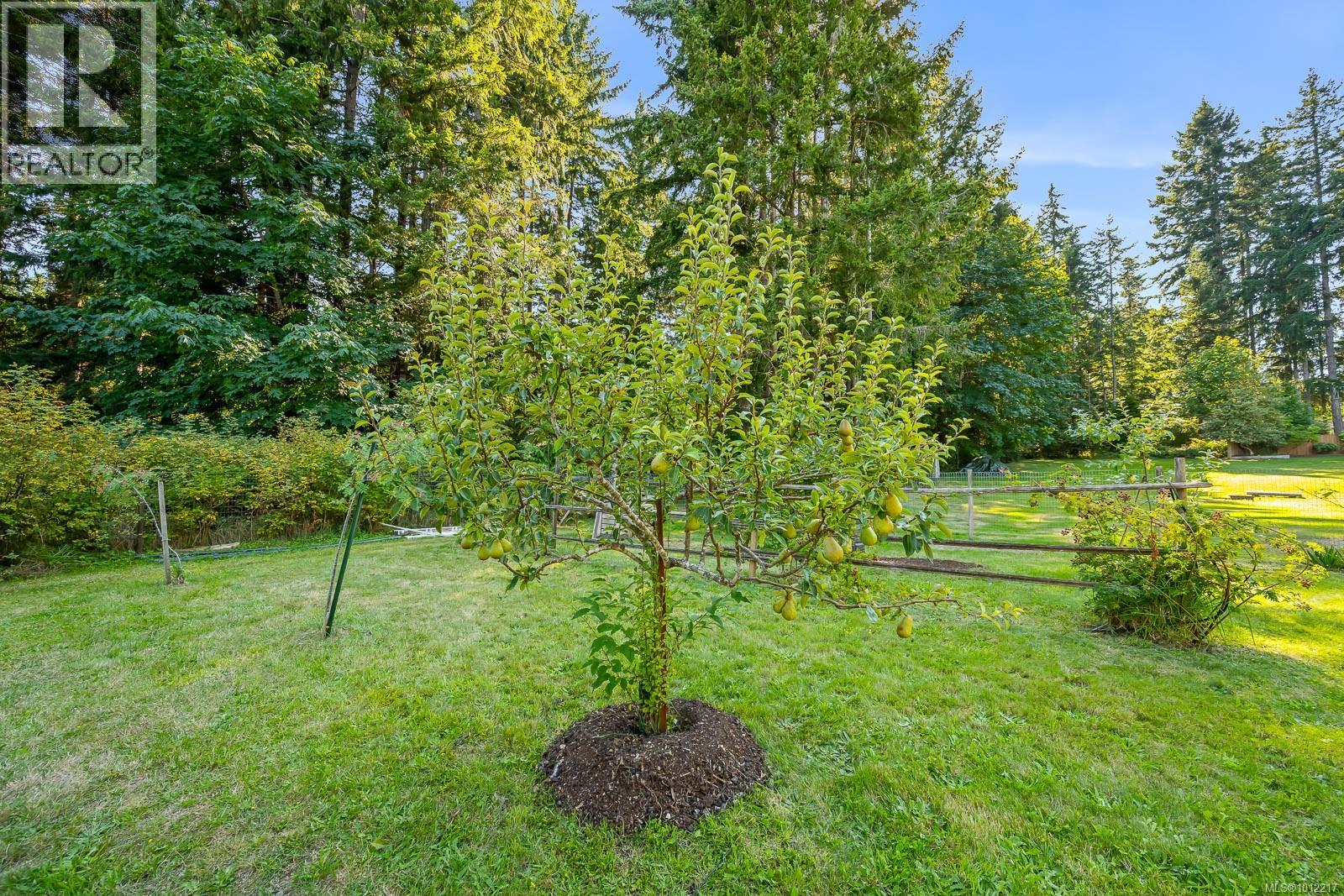 1927 Wilson Rd, Courtenay, British Columbia  V9J 1V6 - Photo 68 - 1012217