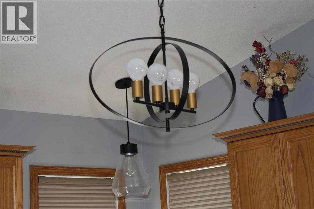 4923 55 Street, Alix, Alberta  T0C 0B0 - Photo 14 - A2265767