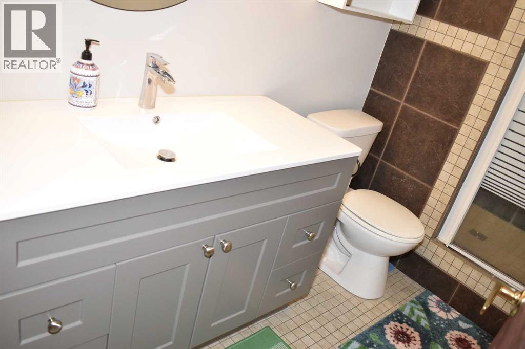 4923 55 Street, Alix, Alberta  T0C 0B0 - Photo 33 - A2265767