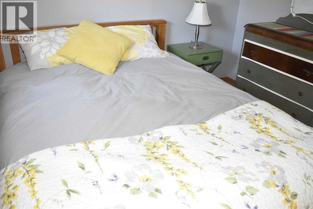 4923 55 Street, Alix, Alberta  T0C 0B0 - Photo 31 - A2265767