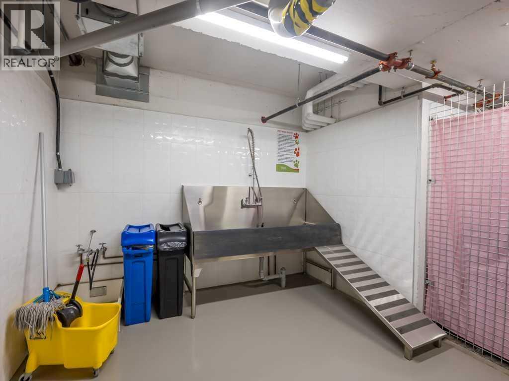 206, 3375 15 Street Sw, Calgary, Alberta T2T 4A2 - Photo 25 - A2232067