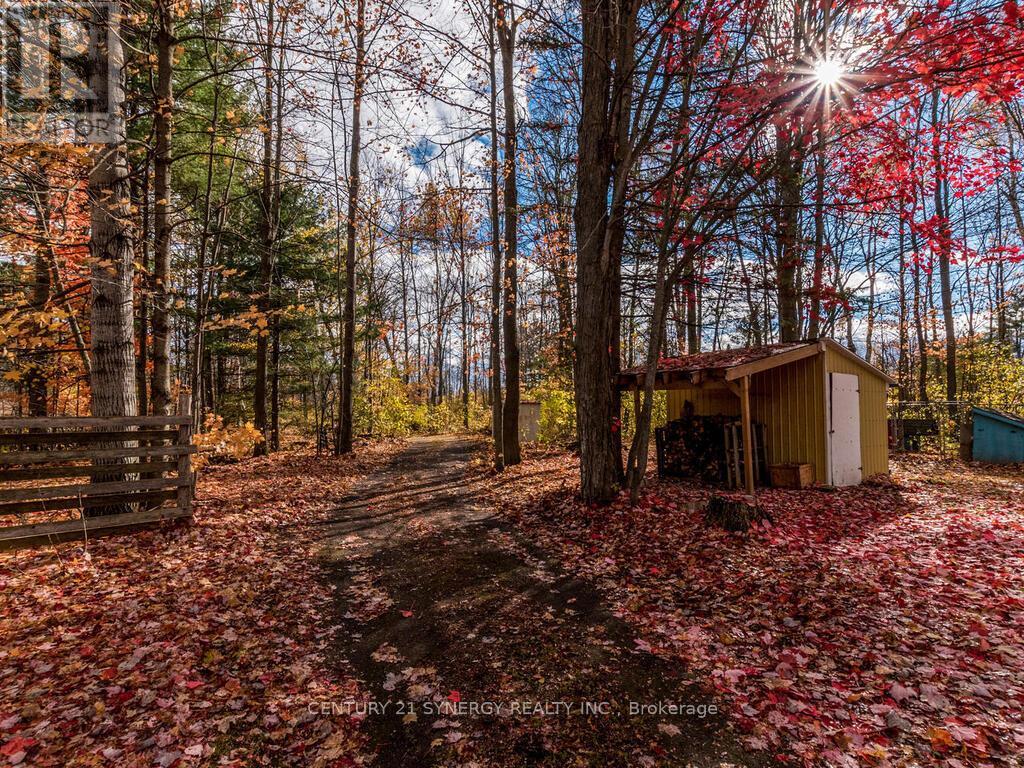 1423 Diamondview Road, Ottawa, Ontario  K0A 1L0 - Photo 36 - X12484920