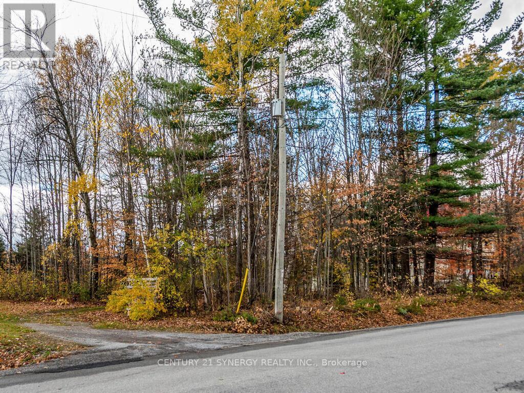 1423 Diamondview Road, Ottawa, Ontario  K0A 1L0 - Photo 44 - X12484920